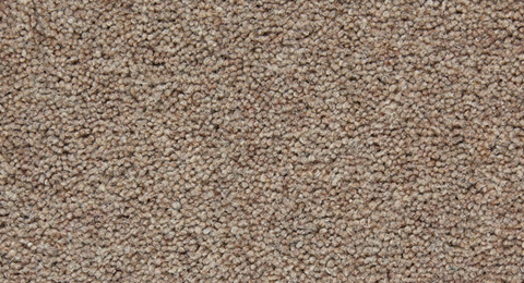 Cedar