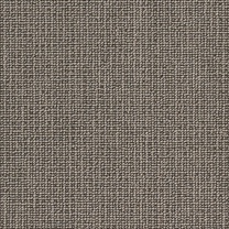 Lady-Grey.jpg