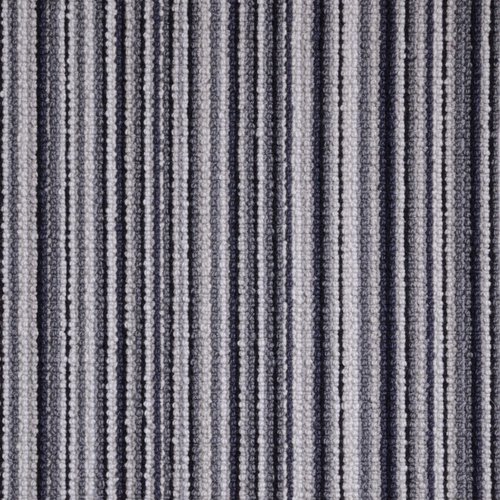 lemur-69803